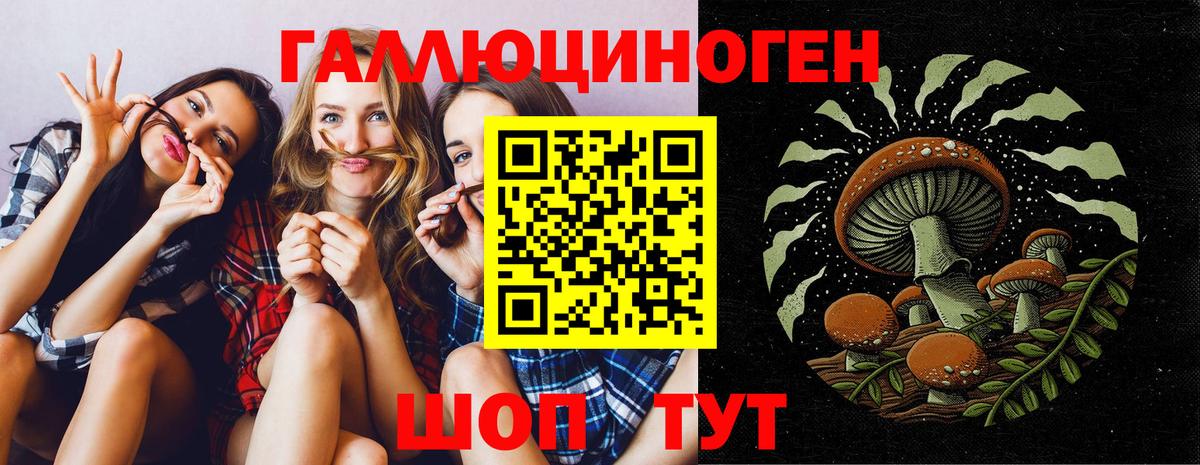 Кохма  Псилоцибиновые грибы GOLDEN TEACHER  Вход с VPN  Галлюциногенные грибы мухоморы 