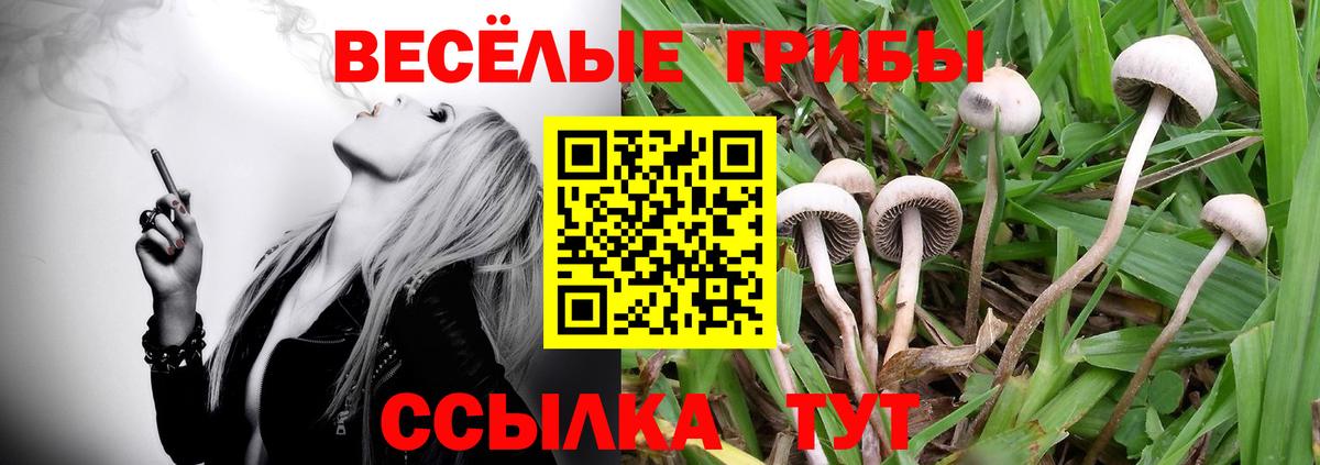 Псилоцибиновые грибы прущие грибы Кохма