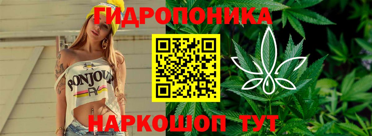 Кохма  Канабис план  Шишки марихуана Bruce Banner  Вход с VPN 